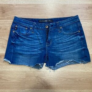 Big Star 1974 Remy low rise fit size 28 jean shorts